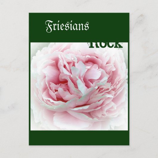 Carte Postale Fleur Pastel (Devant)