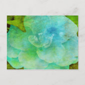 Carte Postale Fleur peinte par Shirley Taylor (Devant)