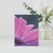 Carte Postale Fleur photo macro (Debout devant)