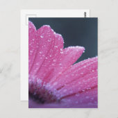 Carte Postale Fleur photo macro (Devant / Derrière)