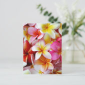 Carte Postale Fleur Plumeria mélangée rose jaune (Debout devant)