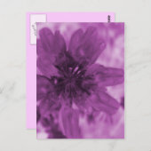 Carte Postale Fleur pourpre (Devant / Derrière)