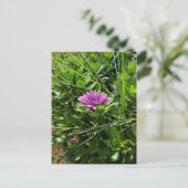 Carte Postale Fleur pourpre (Debout devant)