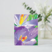 Carte Postale Fleur pourpre Avec Dew Élégante Nature (Debout devant)