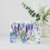 Carte Postale Fleur pourpre de crocus dans la neige Frost (Debout devant)