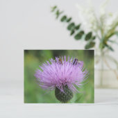 Carte Postale Fleur pourpre et insectes #2 (Debout devant)