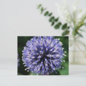 Carte Postale Fleur pourpre et puffy ! (Debout devant)