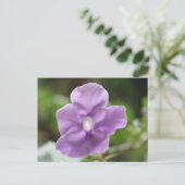 Carte Postale Fleur pourpre n° 3 (Debout devant)