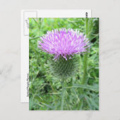 Carte Postale Fleur pourpre Spirit (Devant / Derrière)