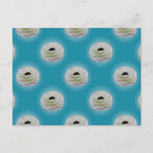 Carte postale Fleur Ranunculus Blanc (Devant)