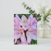Carte Postale Fleur Rhododendron rose (Debout devant)