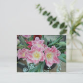 Carte Postale Fleur rose (Debout devant)