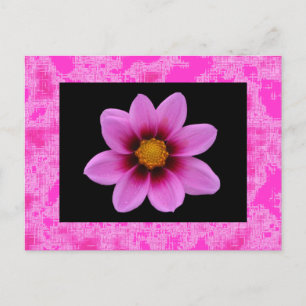 Carte Postale Fleur rose