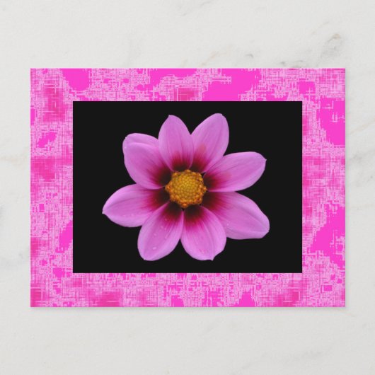 Carte Postale Fleur rose (Devant)