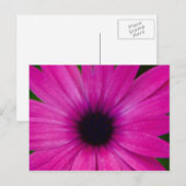 Carte Postale fleur rose (Devant / Derrière)