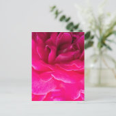 Carte Postale Fleur rose (Debout devant)