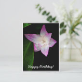 Carte Postale Fleur rose délicate Joyeux Anniversaire (Debout devant)