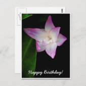 Carte Postale Fleur rose délicate Joyeux Anniversaire (Devant / Derrière)