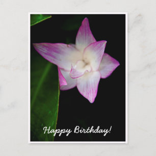 Carte Postale Fleur Rose Délicate Joyeux Anniversaire