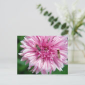Carte Postale Fleur rose et bogues (Debout devant)