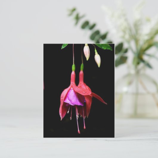 Carte Postale Fleur rose Fuchsia (Debout devant)