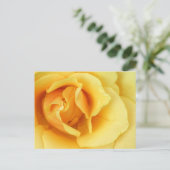 Carte postale Fleur rose jaune (Debout devant)