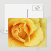 Carte postale Fleur rose jaune (Devant / Derrière)