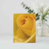 Carte Postale Fleur rose jaune (Debout devant)