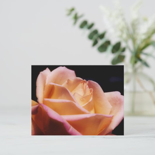 Carte Postale Fleur rose jaune intense (Debout devant)