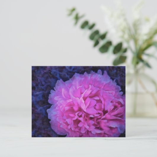 Carte Postale Fleur rose Lush (Debout devant)