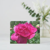 Carte Postale Fleur rose pâle (Debout devant)