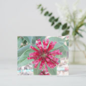 Carte Postale Fleur rose profonde (Debout devant)