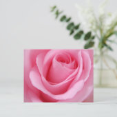 Carte Postale Fleur rose rose gros plan (Debout devant)