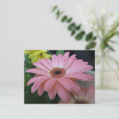 Carte Postale Fleur rose unique (Debout devant)