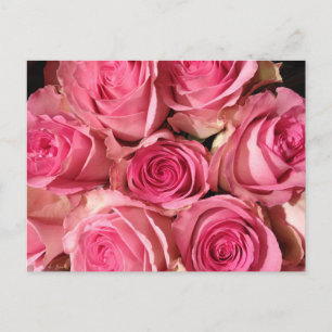 Carte Postale Fleur Roses roses roses