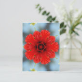 Carte Postale Fleur Rouge (Debout devant)