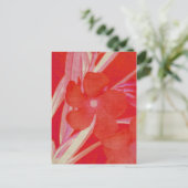 Carte postale Fleur rouge (Debout devant)