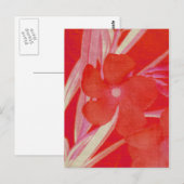 Carte postale Fleur rouge (Devant / Derrière)