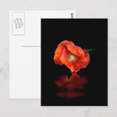Carte Postale Fleur Rouge (Devant / Derrière)