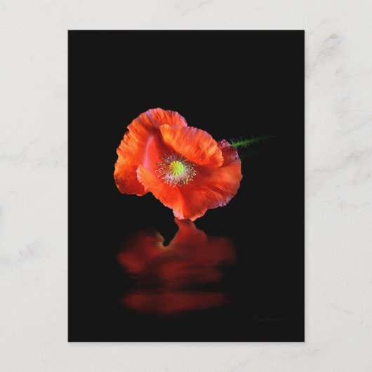 Carte Postale Fleur Rouge (Devant)