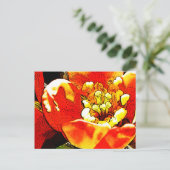 Carte Postale Fleur rouge (Debout devant)