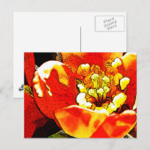 Carte Postale Fleur rouge (Devant / Derrière)