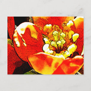 Carte Postale Fleur rouge