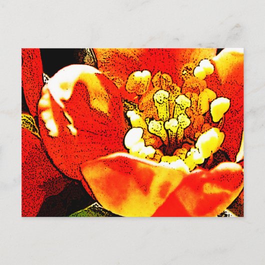 Carte Postale Fleur rouge (Devant)
