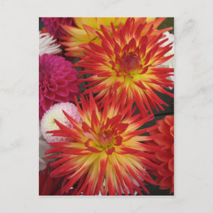Carte postale Fleur rouge