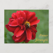 Carte Postale Fleur rouge Dahlia et Bumblebee photo (Devant)