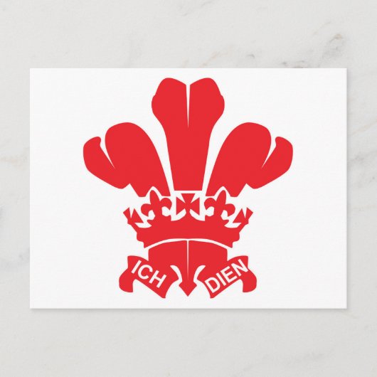 Carte Postale Fleur rouge de Lis (Devant)