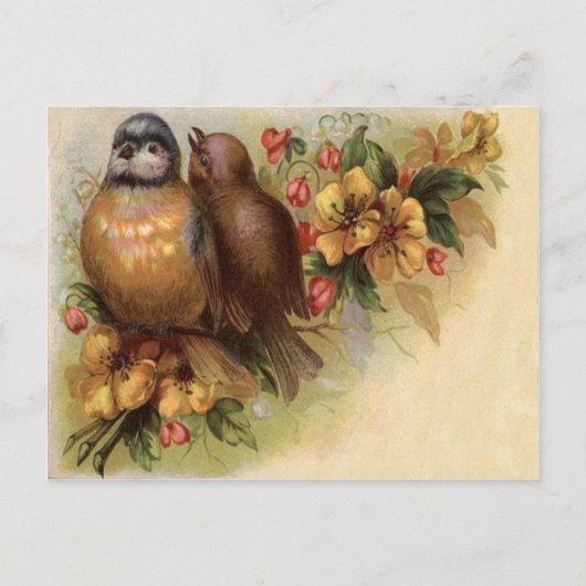 Carte Postale Fleur Rouge Jaune Oiseau Robin (Devant)