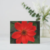 Carte Postale Fleur rouge lumineuse (Debout devant)
