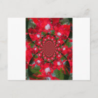 Fleur Rouge Naturelle Blanc Plumes kaléidoscope ar